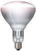 Philips | IR lamp R bollamp/reflectorlamp | Grote fitting E27 | 250W online kopen